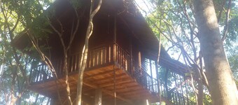 Elephant corridori camping