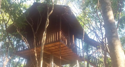 Elephant corridori camping
