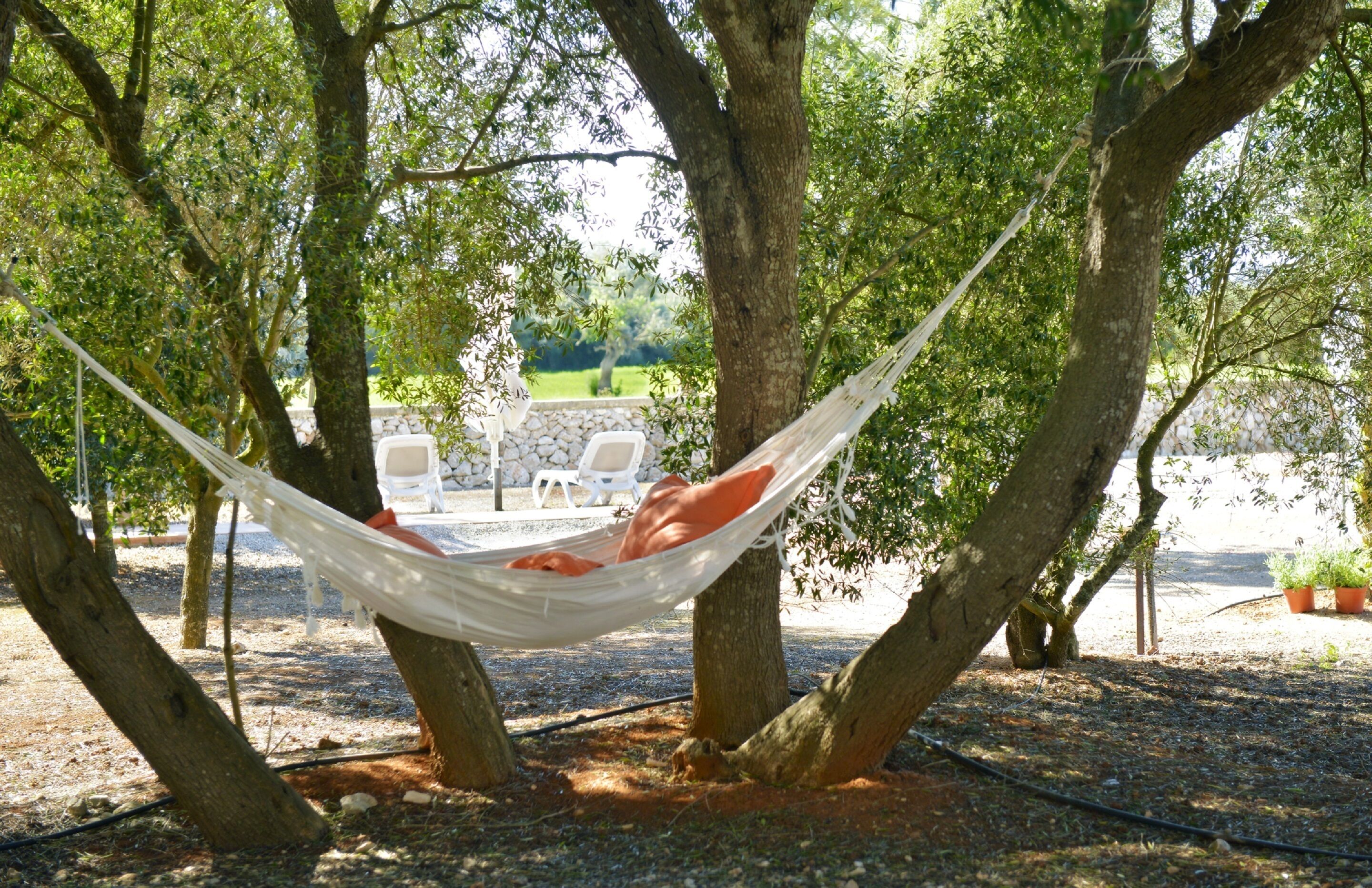 Photo - Agroturismo Fincahotel Son Pou