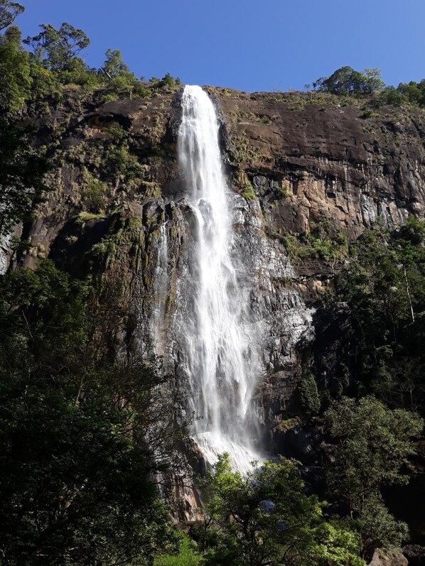 Una cascada se precipita por un acantilado rocoso rodeado de abundante vegetación.