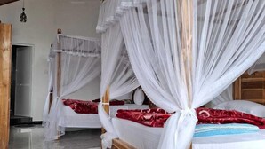 A room with two wooden beds, each covered with white canopy bedsheets. - Lilly Guest Inn (Haputhale)