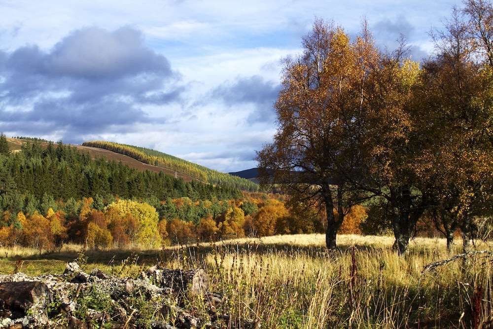 The Smugglers Hostel by null
