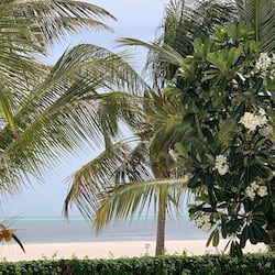 Plage privée, sable blanc, chaises longues, parasols
