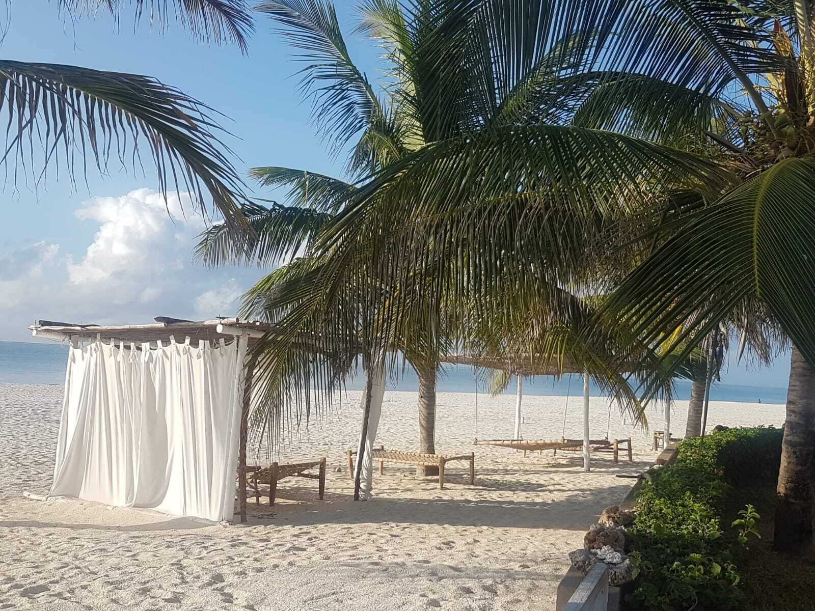 Un cadre de plage avec un espace de repos abrité, des palmiers et une plage de sable.