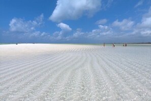 Private beach, white sand, sun loungers, beach umbrellas - Life Resort St.Thomas Royal Palm (Watamu)