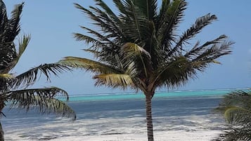 Playa privada, playa de arena blanca, camastros y sombrillas
