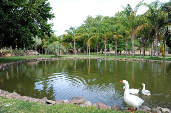 Exterior - De Werf Lodge (Kai !Garib)