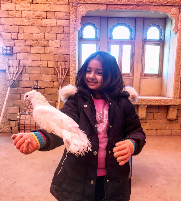 A person holding a white bird in front of a rustic brick wall with arched windows.