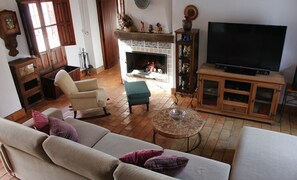 TV, fireplace, books