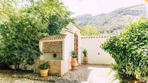 A courtyard with a tiled floor, potted plants, and a building with a tiled roof and a mural.