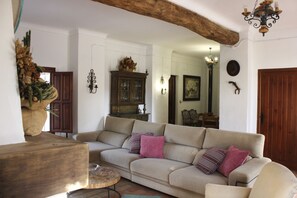 TV, fireplace, books