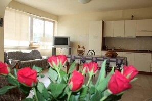 Apartamento, 2 habitaciones, vistas al mar (Zagara) | Cocina privada | Frigorífico, placa de cocina y utensilios de cocina