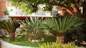 Garden - B&b Il giardino delle meraviglie (Melito di Porto Salvo)