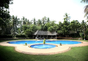 Outdoor pool - Prince Park Farm House (Vanur)