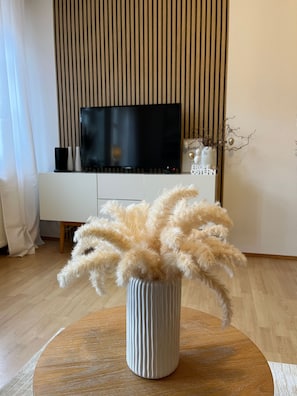 Télévision