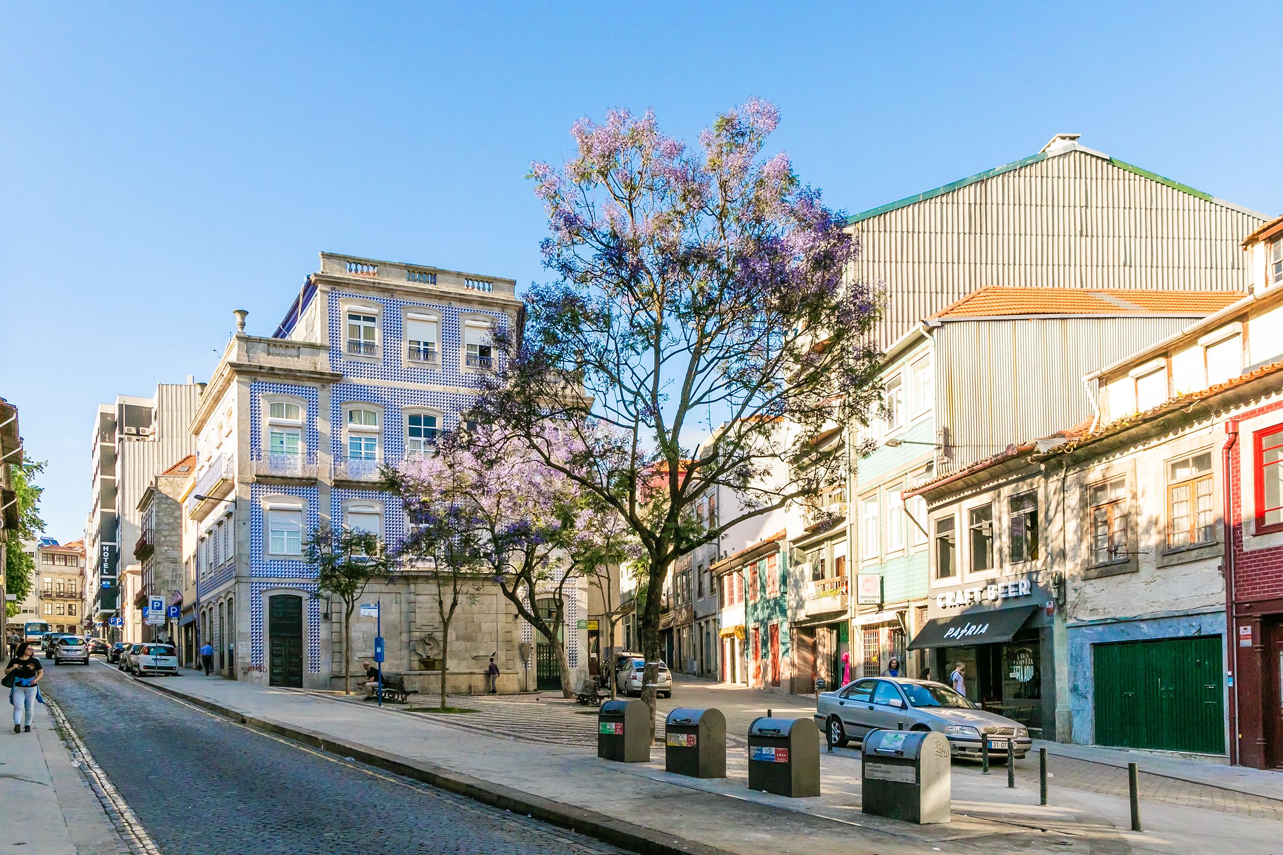 A street with buildings, a tree, and parked cars.