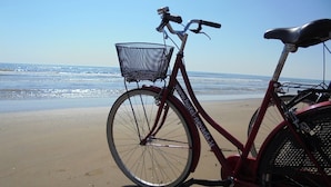 單車