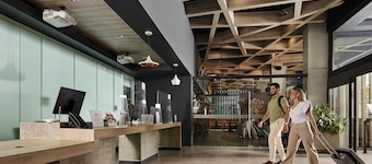 ibis Torreon
