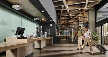 ibis Torreon