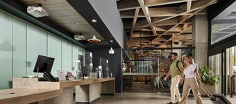 ibis Torreon