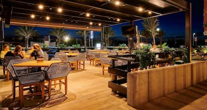 ibis Torreon