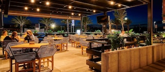 ibis Torreon