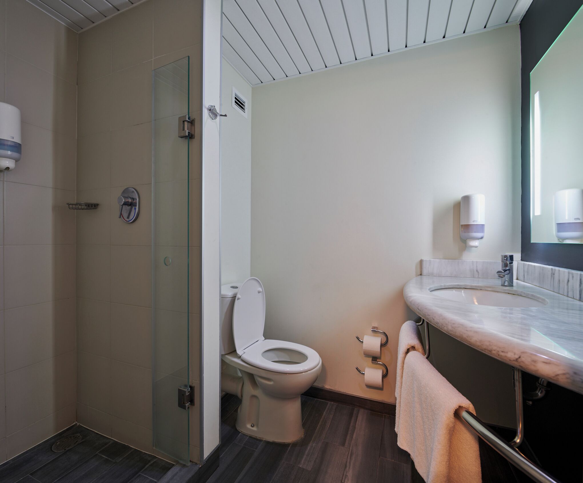 double room, 1 double bed | bathroom | shower, eco-friendly toiletries, hair dryer, towels