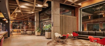 ibis Torreon