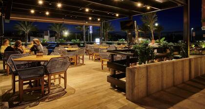 ibis Torreon