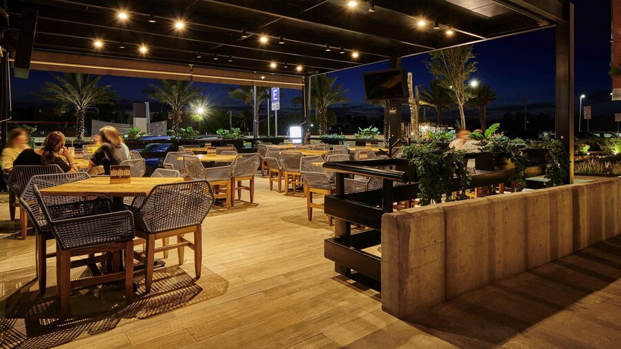 ibis Torreon