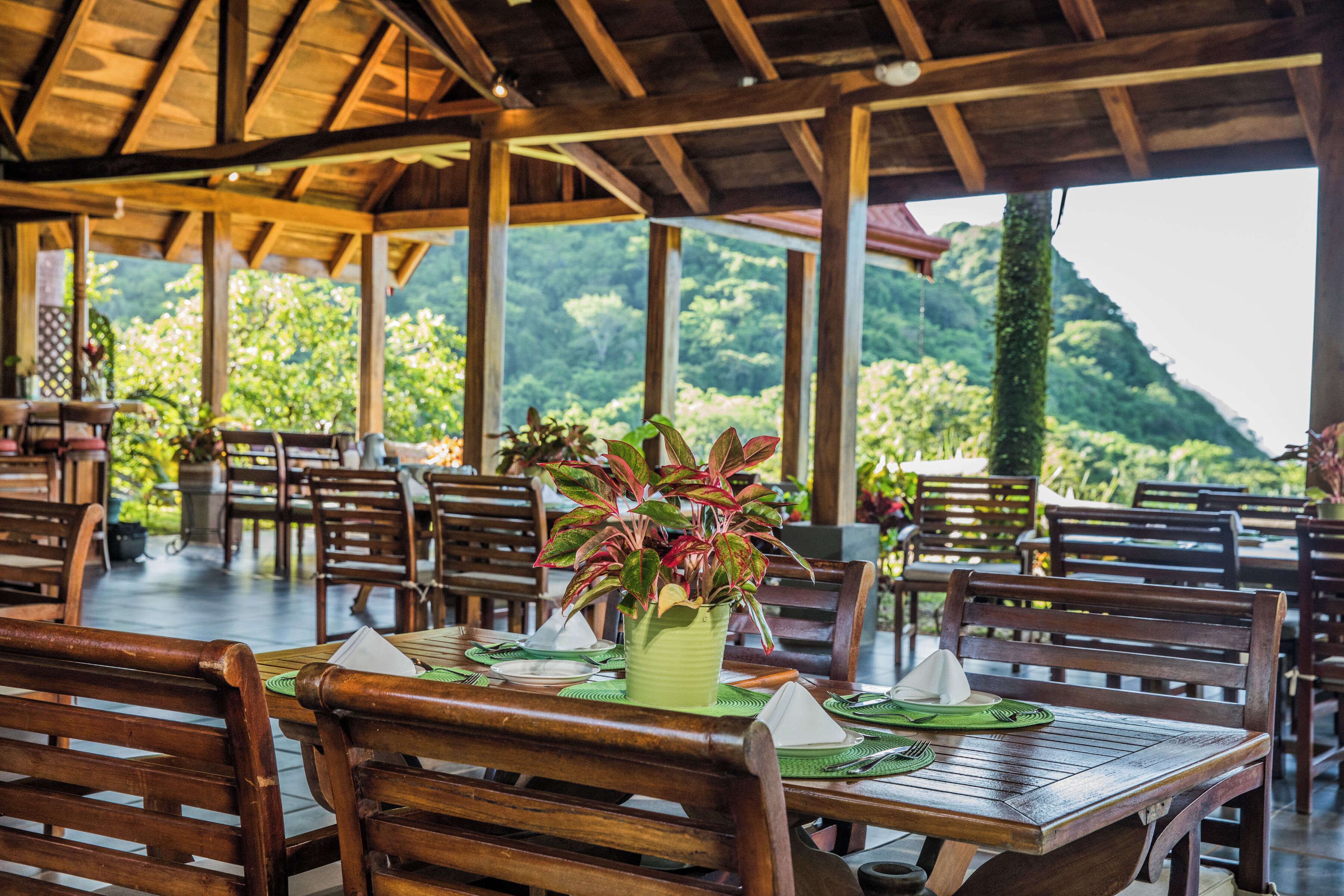 A restaurant with wooden tables and chairs, a green plant centerpiece, and a view of lush greenery and mountains.