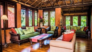 A spacious living area with wooden flooring, multiple sofas and chairs, a coffee table, and large windows offering a view of greenery. - Hacienda Barrigona (Sámara)