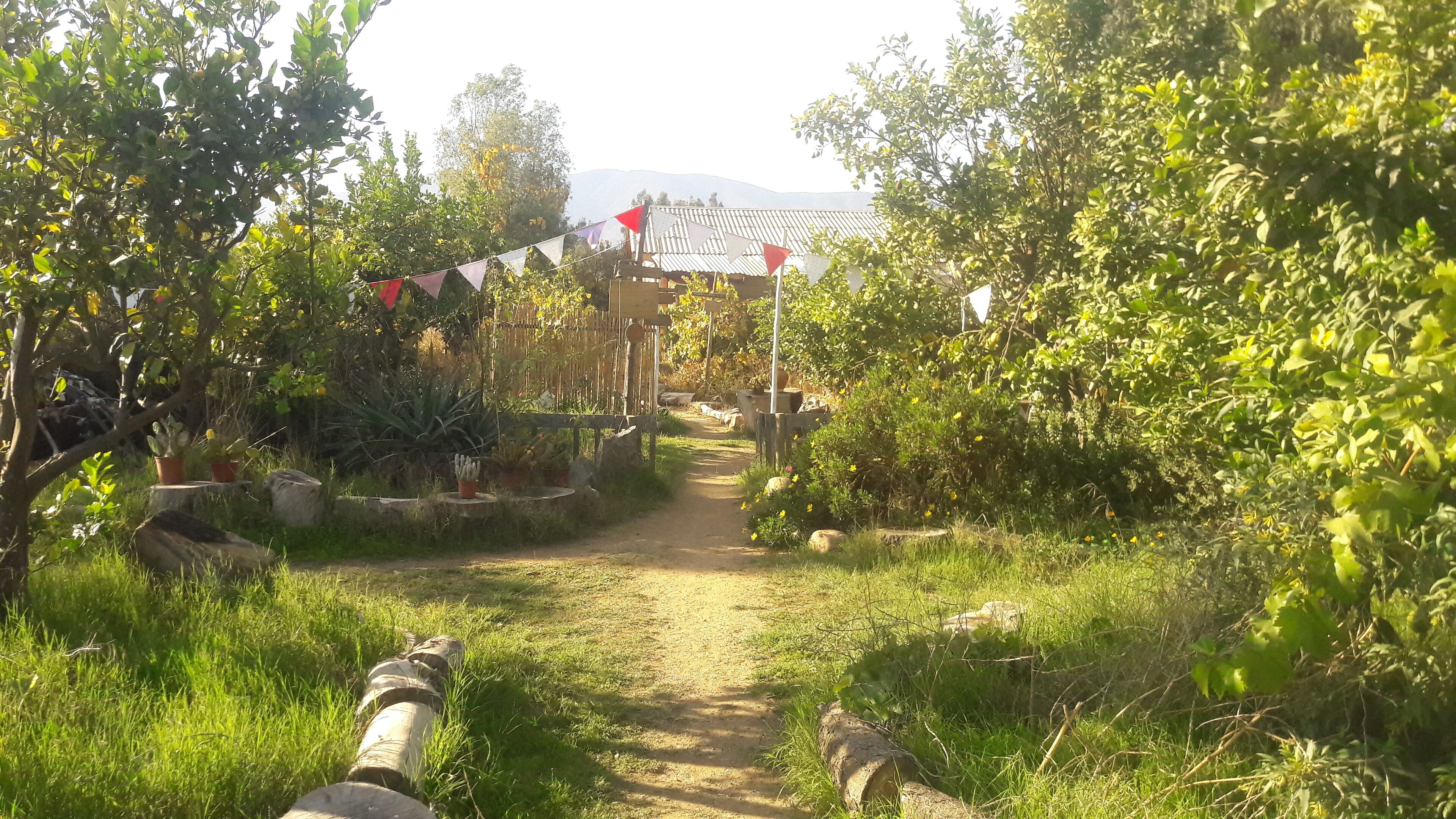 Terrein van de accommodatie