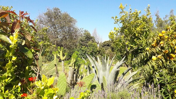 Overnattingsstedets uteområder