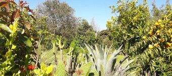 Our Eco Hostel is an oasis of nature and peace to rest and enjoy.