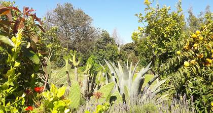 Meidän Eco Hostel on luonnon ja rauhan keidas levätä ja nauttia.