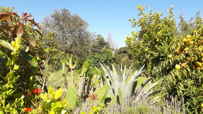 Our Eco Hostel is an oasis of nature and peace to rest and enjoy.