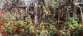 Our Eco Hostel is an oasis of nature and peace to rest and enjoy.