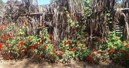Nuestro Eco Hostel es un oasis de naturaleza y paz para descansar y disfrutar.