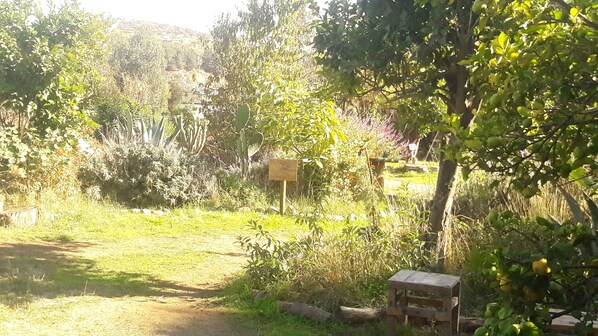 Jardines del alojamiento