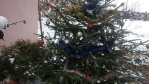 Un árbol de Navidad cubierto de nieve con adornos, frente a un edificio rosa.