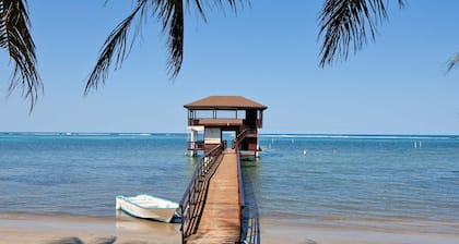 The Real Kings Resort