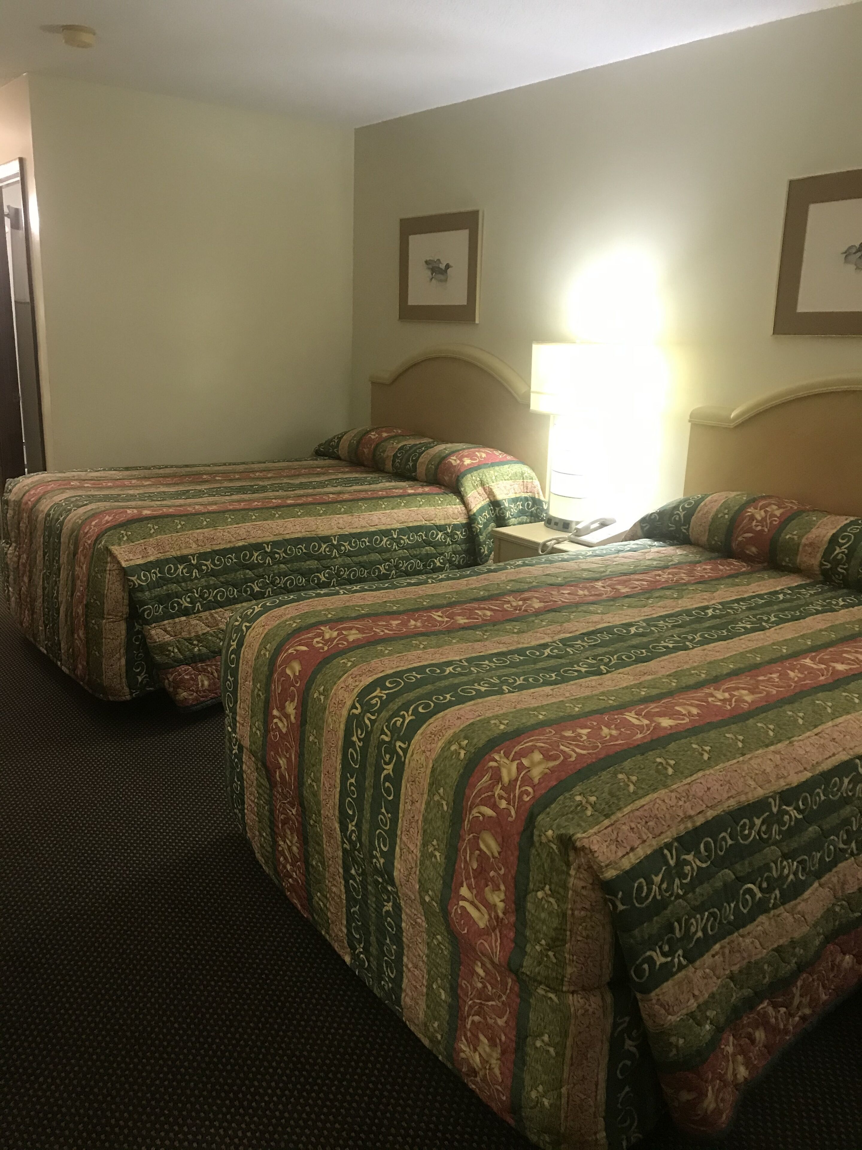 办公桌、熨斗/熨板、免费 WiFi