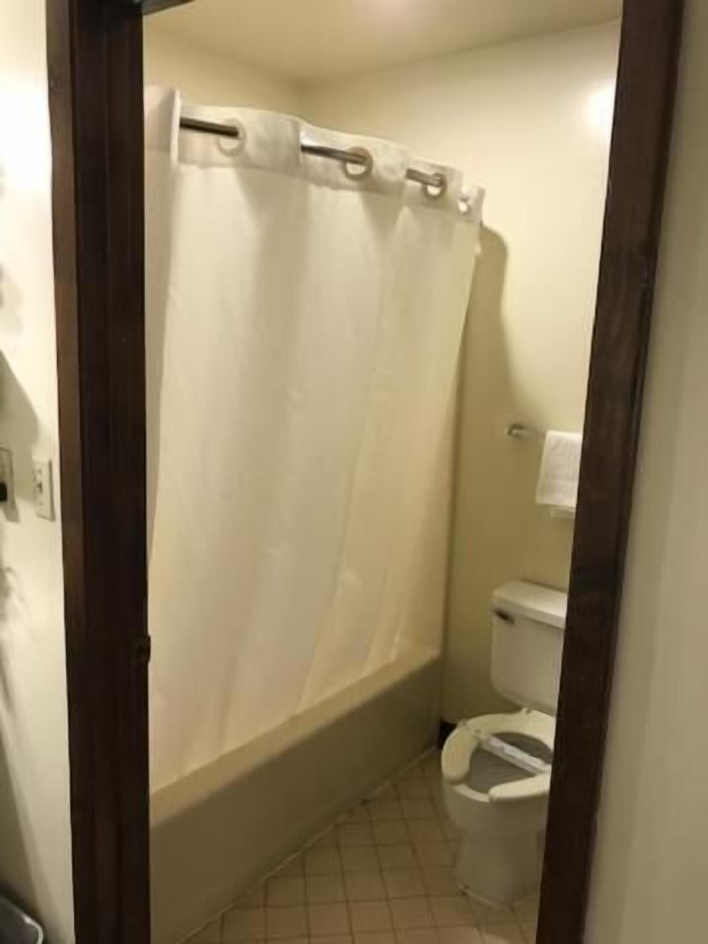 A bathroom with a shower curtain, toilet, and tiled floor.
