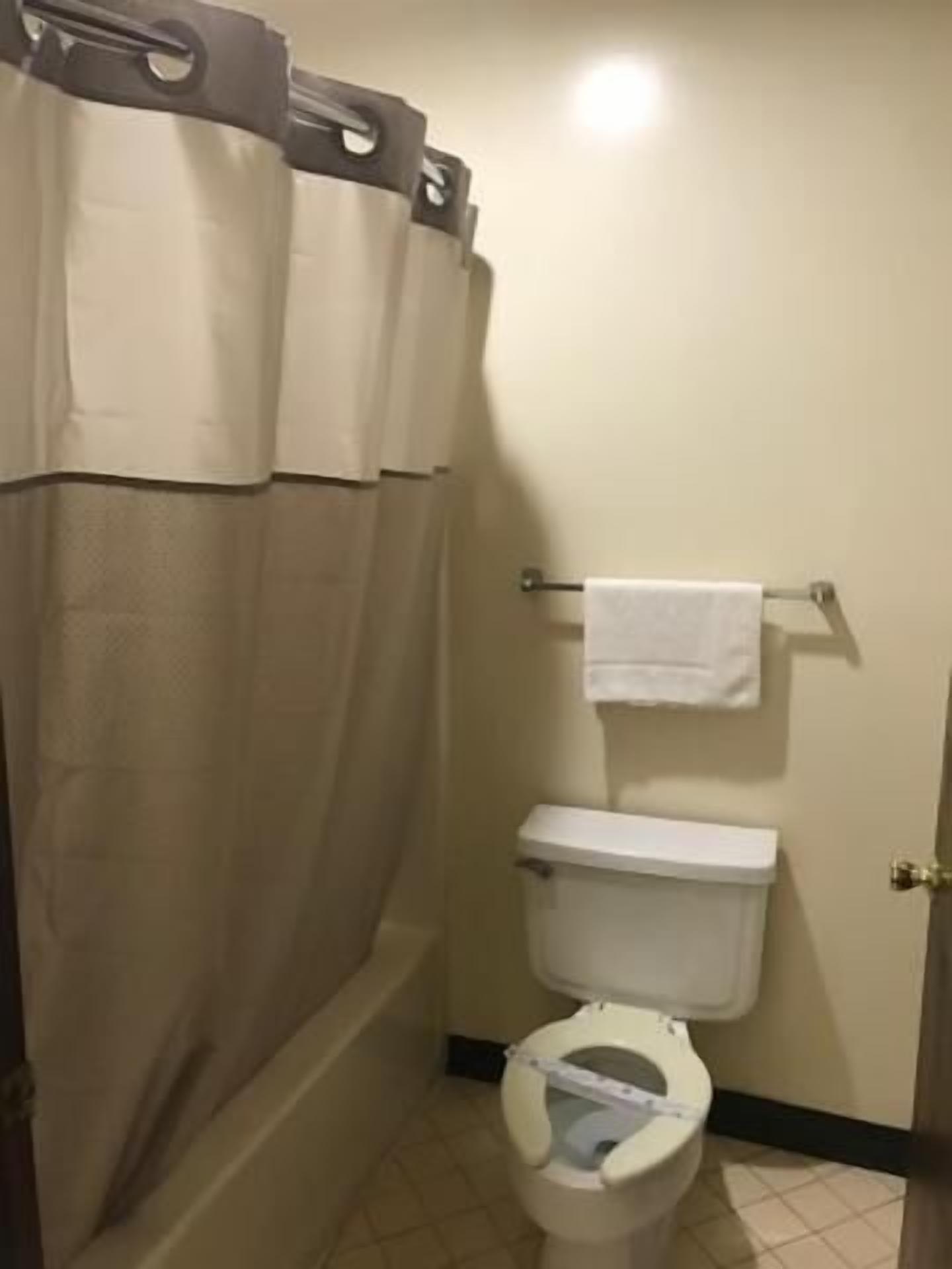 A bathroom with a shower curtain, a toilet, and a towel rack.