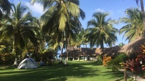 A tropical resort with palm trees, a thatched-roof building, and a tented area. - IDESTINOS ROLLING HOUSE - PALOMINO (Palomino)