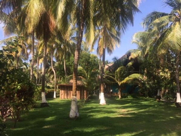 Áreas de la propiedad