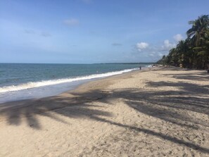 Playa