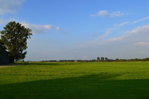 Image sans description, 4 de 19, bouton