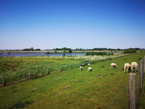 Unclassified image, 4 of 19, button